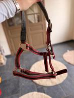 Rood halster, Dieren en Toebehoren, Ophalen of Verzenden, Zo goed als nieuw