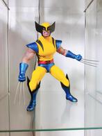 Wolverine 1/6 figuur — Hono Studio x Hot Toys, Ophalen of Verzenden, Zo goed als nieuw, Fantasy