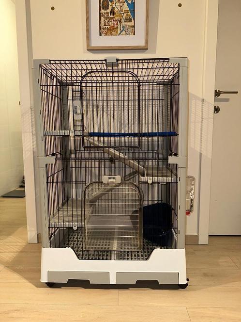 Knaagdierkooi, Dieren en Toebehoren, Knaagdieren en Konijnen | Hokken en Kooien, Zo goed als nieuw, Kooi, 90 cm of meer, Minder dan 75 cm