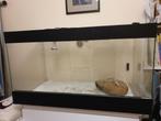 terrarium, Dieren en Toebehoren, Reptielen en Amfibieën | Toebehoren, Ophalen, Zo goed als nieuw, Terrarium of Paludarium