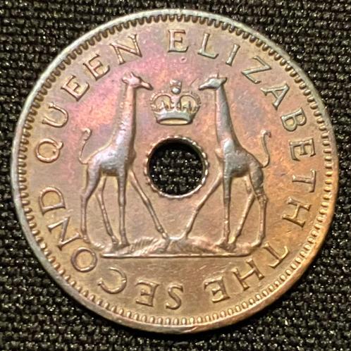 Rhodesia-Nyasaland - 1-2 Penny 1964- AU+ - KM 1 - 139, Timbres & Monnaies, Monnaies | Afrique, Monnaie en vrac, Zimbabwe, Enlèvement ou Envoi