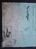 Blok 329 postfris, Postzegels en Munten, Bankbiljetten | Nederland, Ophalen