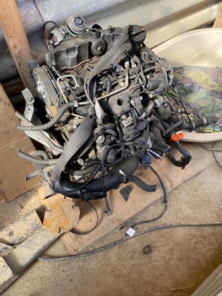 Toute pieces moteur 1.2 tdi 75 CV, Auto-onderdelen, Motor en Toebehoren, Audi, Ophalen of Verzenden