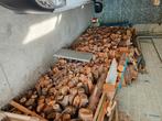 Bois chauffage, Tuin en Terras, Brandhout, Ophalen of Verzenden, Overige houtsoorten, Blokken