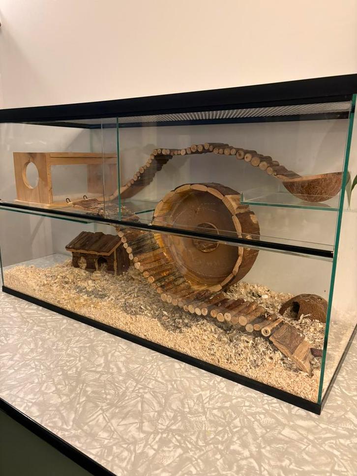 Terrarium met schuifdeuren, Dieren en Toebehoren, Knaagdieren en Konijnen | Toebehoren, Gebruikt, Ophalen