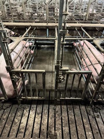 Boxen [598]  beschikbaar voor biedingen