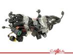 KABELBOOM BMW S 1000 R 2014-2016 (S1000R K47), Motoren, Onderdelen | BMW, Gebruikt