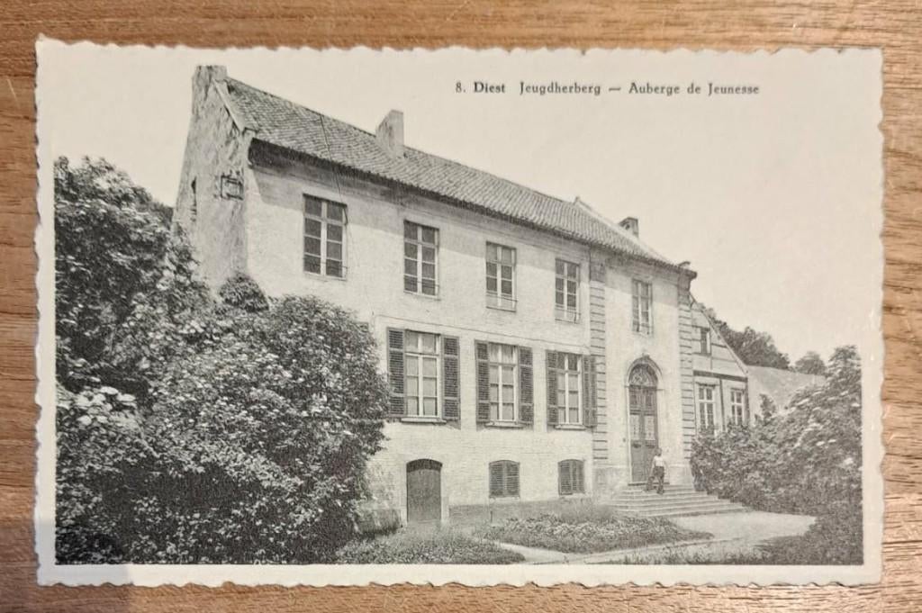 postkaart nr 8 Diest - Jeugdherberg, Ophalen of Verzenden, Ongelopen, Vlaams-Brabant