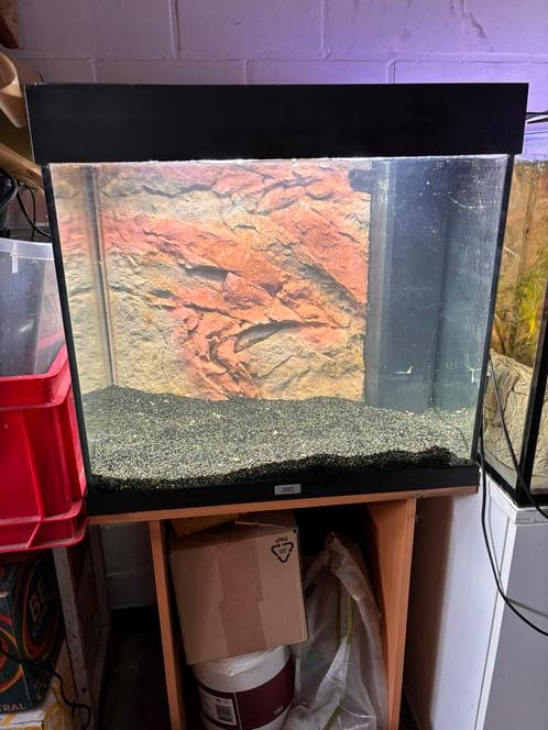 Lido 120 voor 150€, Dieren en Toebehoren, Vissen | Aquaria en Toebehoren, Zo goed als nieuw, Ophalen of Verzenden
