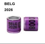 Pigeon 2026 ringen