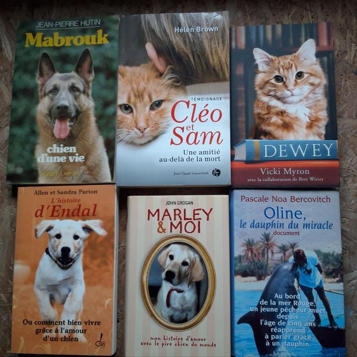 6 histoires vraies avec des animaux, Livres, Biographies, Utilisé, Autre, Enlèvement ou Envoi