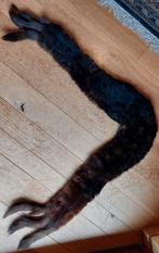 vintage bont sjaal, Kleding | Dames, Mutsen, Sjaals en Handschoenen, Maat 42/44 (L), Sjaal, Gedragen, Ophalen