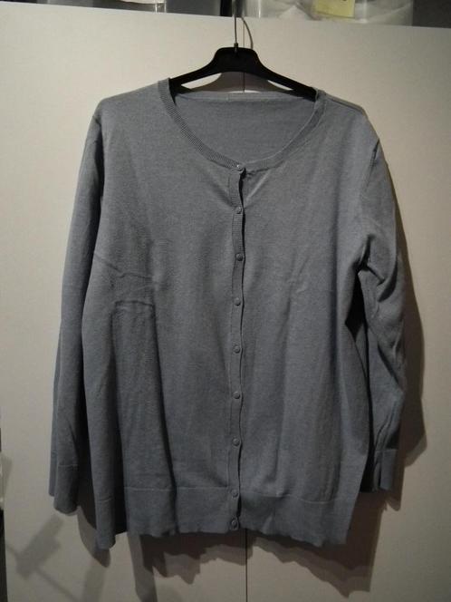 Lichtblauw vest voor dames (C&A) Schouderbreedte 80 cm., Kleding | Dames, Truien en Vesten, Gedragen, Maat 46/48 (XL) of groter