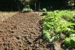 terre de jardin, Jardin & Terrasse, Terre & Fumier, Enlèvement ou Envoi, Terre pour jardin