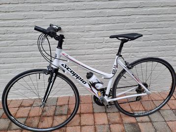 sportfiets dames Scoppio type 631.1 beschikbaar voor biedingen
