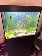 Juwel lido 200 1 jaar oud, Dieren en Toebehoren, Ophalen, Zo goed als nieuw, Gevuld zoetwateraquarium