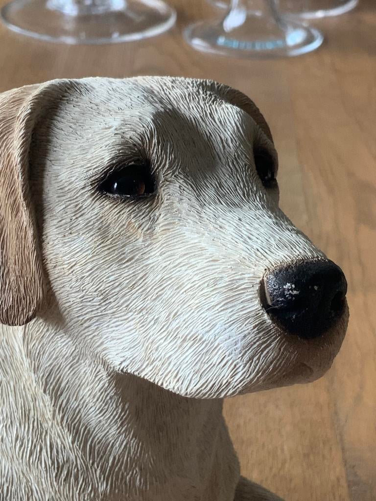 Sandicast Labrador, Enlèvement ou Envoi