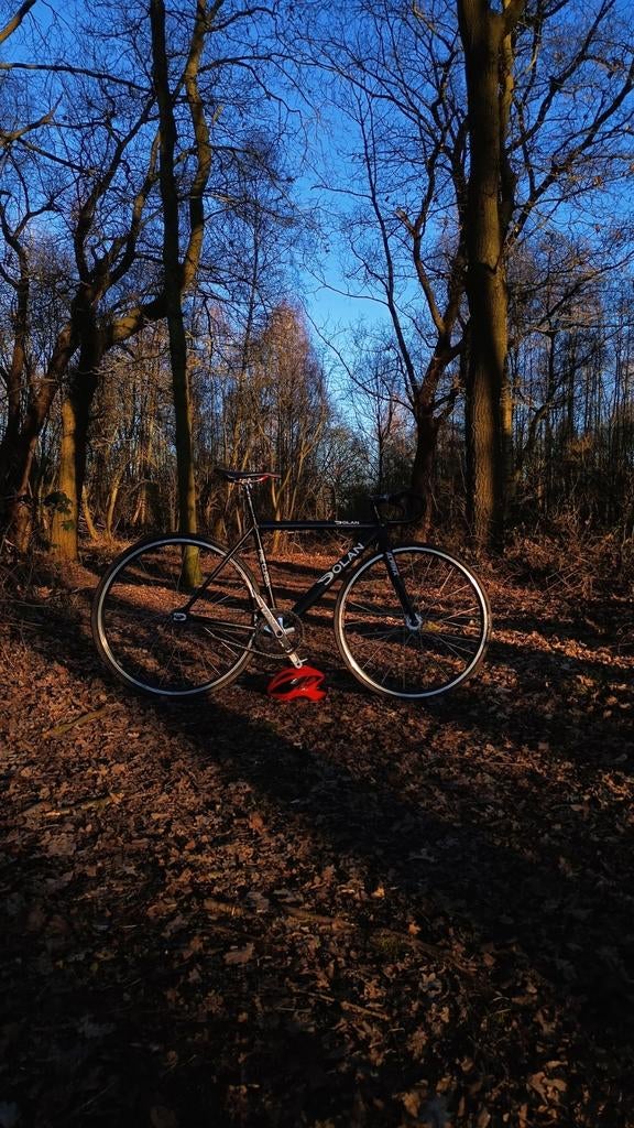 Piste fiets: Dolan Pre Cursa Maat 50, Ophalen