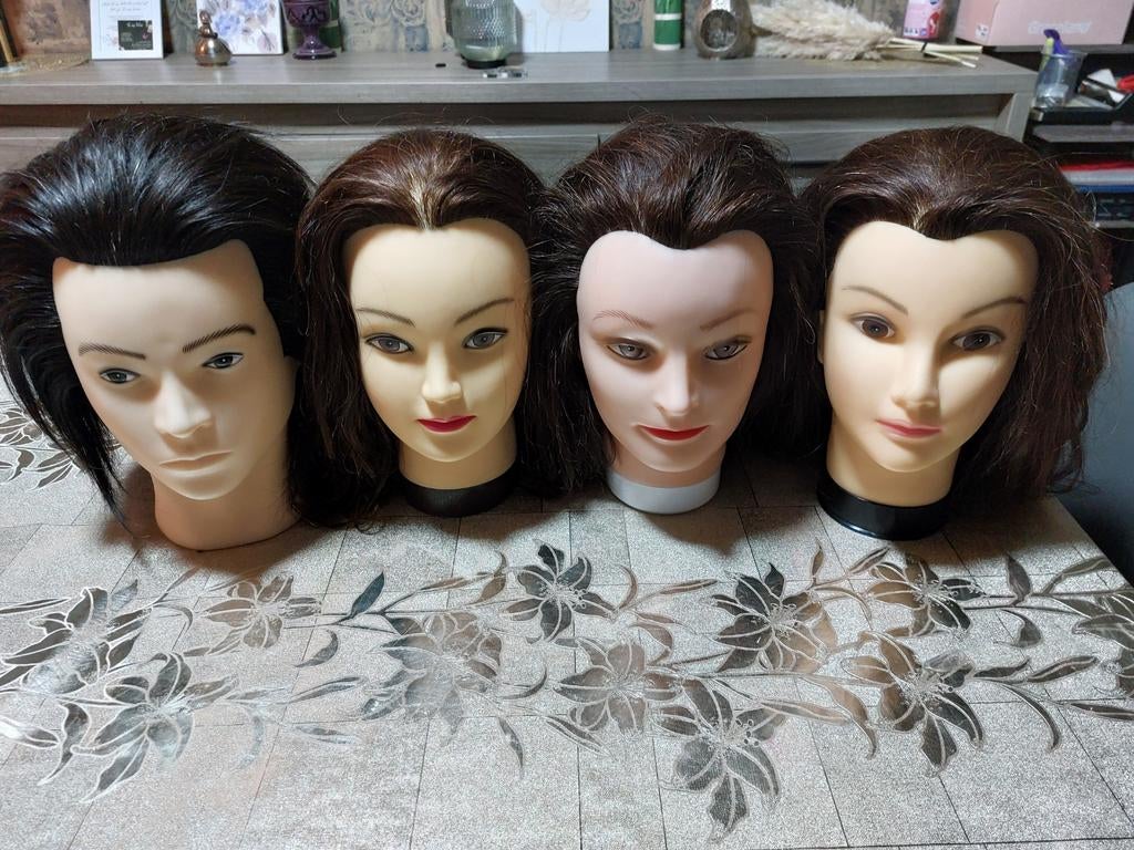 Oefenhoofden 4 voor 100 euro, Ophalen