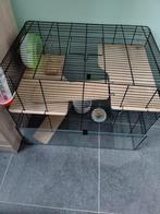 Hamster kooi zo goed als nieuw hamster kooi zo goed als nieu, Enlèvement, Cage, Hamster