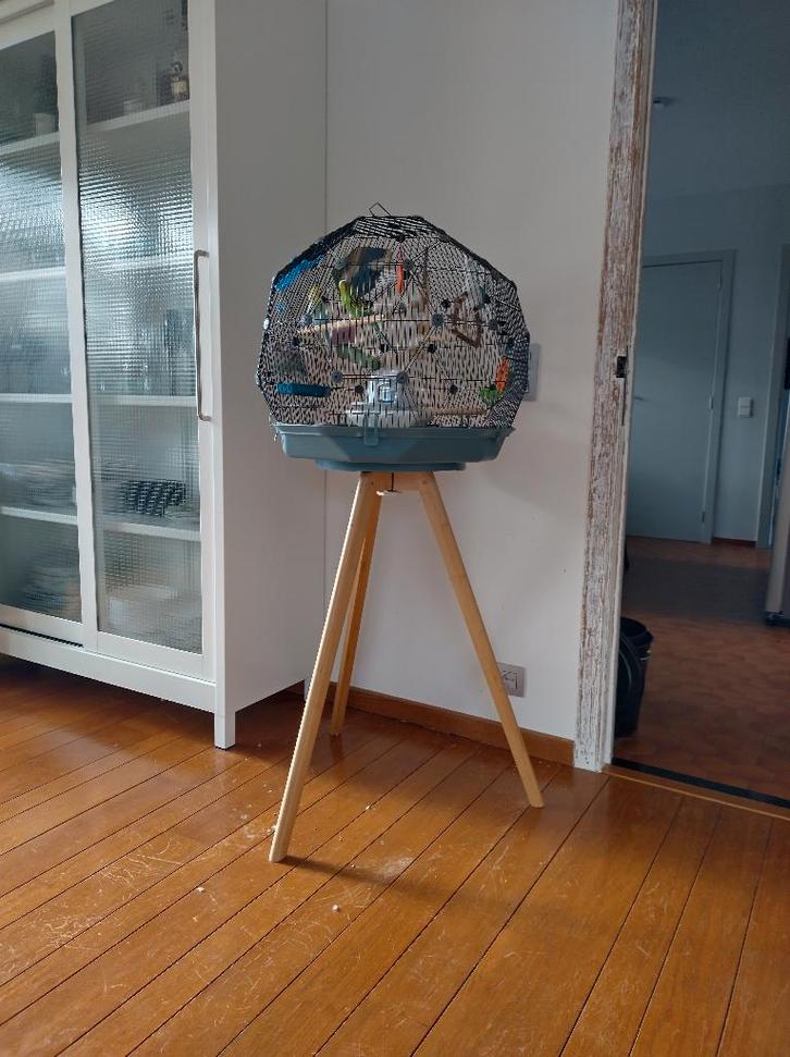 Omlet vogelkooi, Dieren en Toebehoren, Vogels | Hokken en Kooien, Zo goed als nieuw, Vogelkooi, Overige materialen, Ophalen