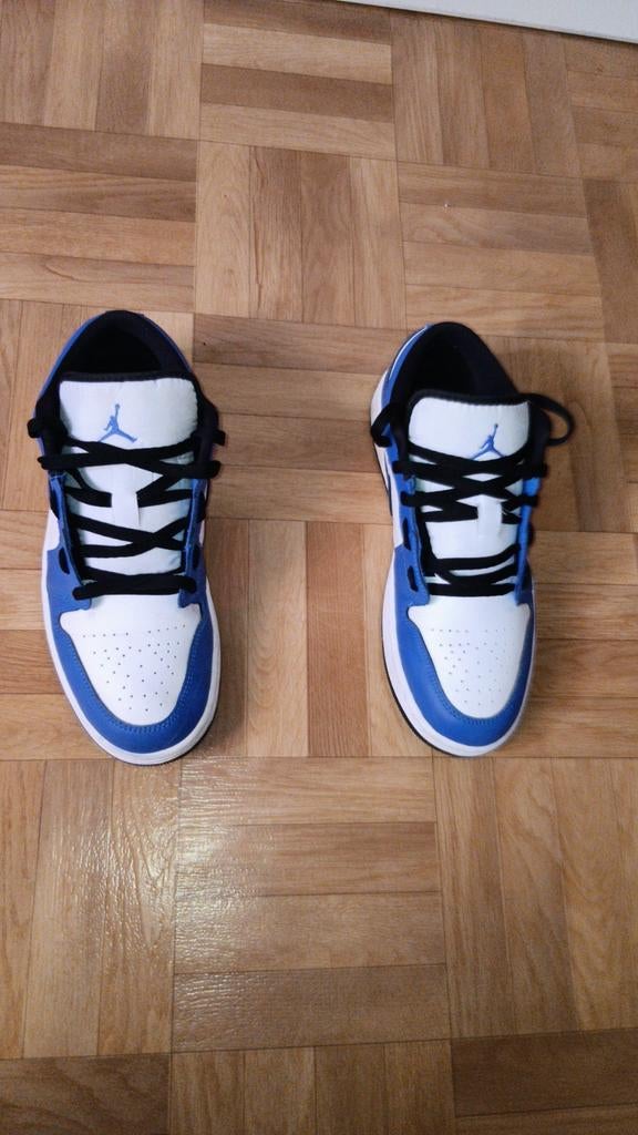 Nike jordan dunk low, Enlèvement ou Envoi