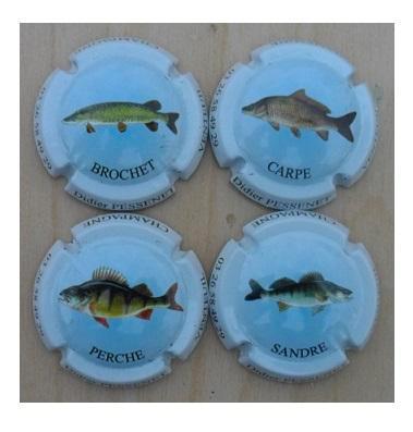 Champagne capsules - Pessenet D 9-12 (L 7689), Verzamelen, Complete verzamelingen en Collecties, Verzenden