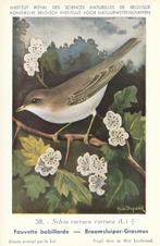 BRAAMSLUIPER GRASMUS, Verzamelen, Postkaarten | Dieren, Verzenden, Ongelopen, Vogel