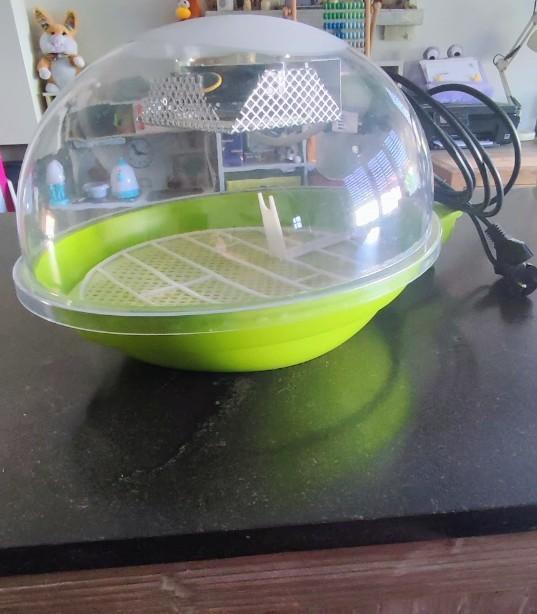 Broedmachine, Animaux & Accessoires, Volatiles | Accessoires, Couveuse, Enlèvement