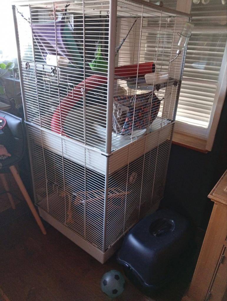 Kooi voor fret, Ophalen