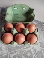 Verse eieren van kippen met vrije uitloop, Enlèvement