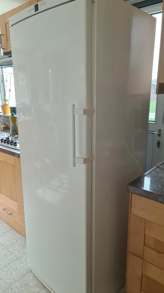 Congélateur Liebherr Premium No Frost, Electroménager, Congélateurs, Utilisé, Autoportant, Congélateur, Congélateur, 160 cm ou plus