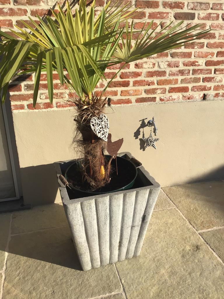 Grote plantenbak/bloembak, Ophalen, Zo goed als nieuw