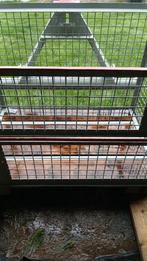 Draadgaascontainer te koop., Ophalen