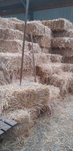 kleine balen stro, Ophalen, Vee