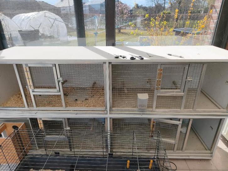 Kweekkooi, Animaux & Accessoires, Oiseaux | Cages & Volières, Utilisé, Cage d'élevage, Enlèvement