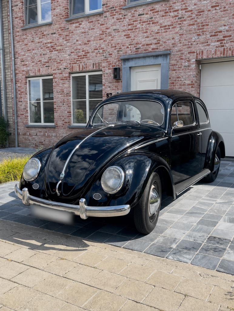 Volkswagen Kever 1955, Auto's, Beige, Beige, Overige modellen, Particulier
