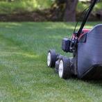 Jeune homme à tout faire GRATUIT, Offres d'emploi, Premier Emploi