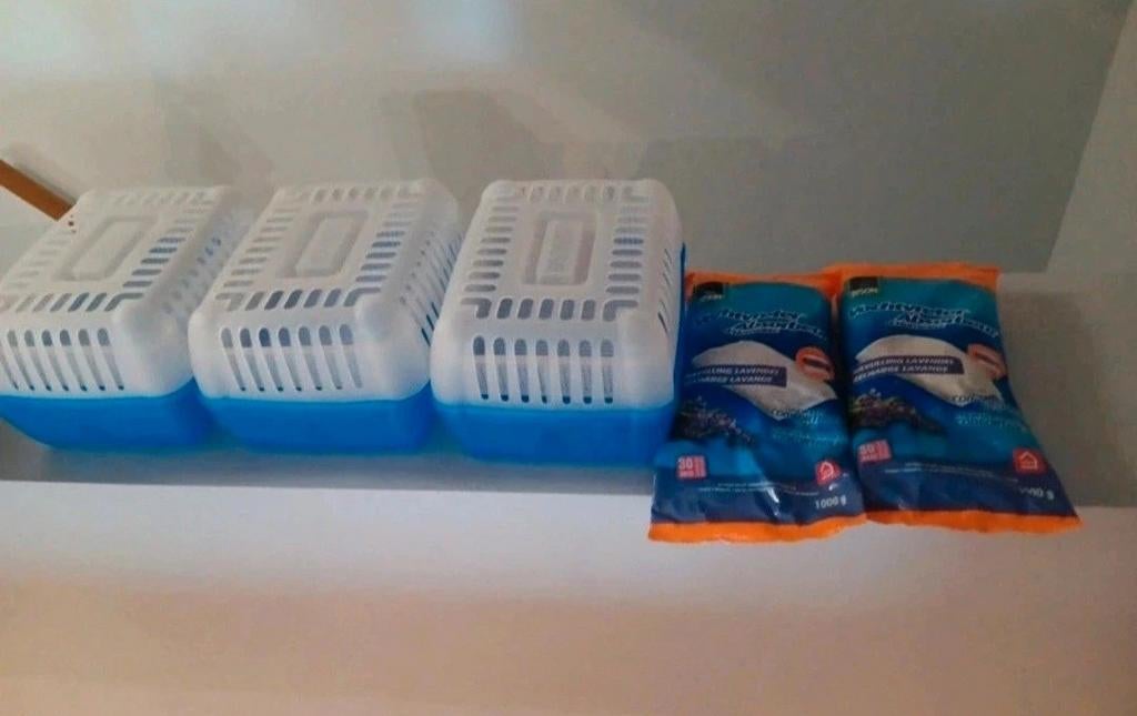 Bison vochtvreter, Enlèvement ou Envoi