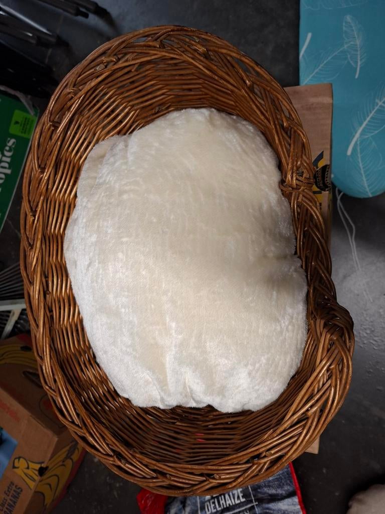 Katten of honde  mand met kussen, Ophalen