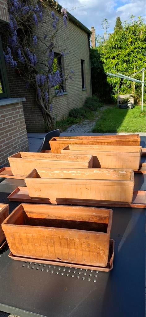 Jardinières en terre cuite.