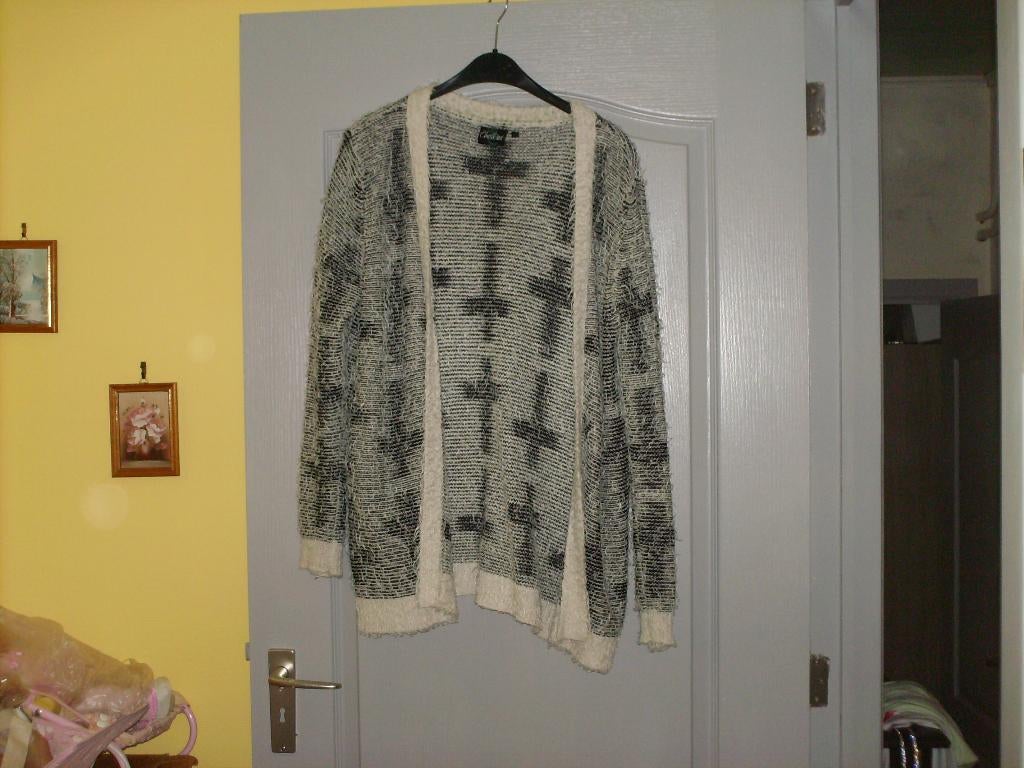 a vendre pull gilet pour dame, Kleding | Dames, Truien en Vesten, Colkat, Ophalen of Verzenden, Gedragen, Overige kleuren