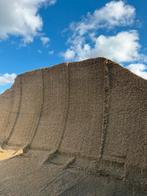 Maïs plante entiere, Dieren en Toebehoren, Dierenvoeding, Ophalen, Vee