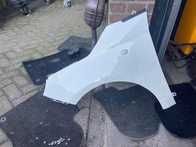 SPATBORD LINKS VOOR 268A Fiat 500 (312) (01-2007/12-2012), Gebruikt, Dhr. R. de Gouw, Voor, Spatbord