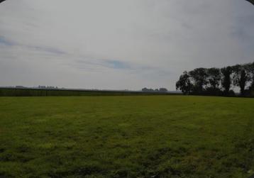 GEZOCHT PAARDENWEI beschikbaar voor biedingen