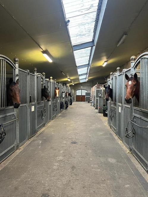 VACATURE: stalmedewerker , groom te Brecht, Dieren en Toebehoren, Stalling en Weidegang