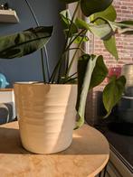 Sierpot middelgroot - excl. Plant., Tuin en Terras, Ophalen, Gebruikt, Rond, Binnen