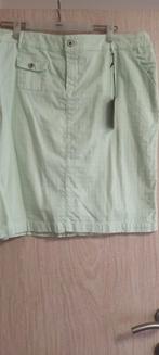 rok livingstone.mt.48.mooi mentkleur, Kleding | Dames, Ophalen of Verzenden, Nieuw, Rok