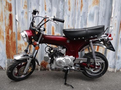 Zhenhua Dax NT | Bordeaux | A of B-Klasse |, Fietsen en Brommers, Brommers | Honda, Nieuw, Overige modellen, Ophalen of Verzenden