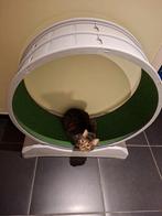 Kattenloopwiel, Ophalen